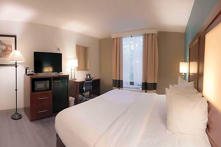 Comfort Inn & Suites Kissimmee By the Parks