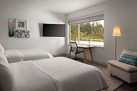 Studio, Queen to 1 Queen Suite, Sofa bed