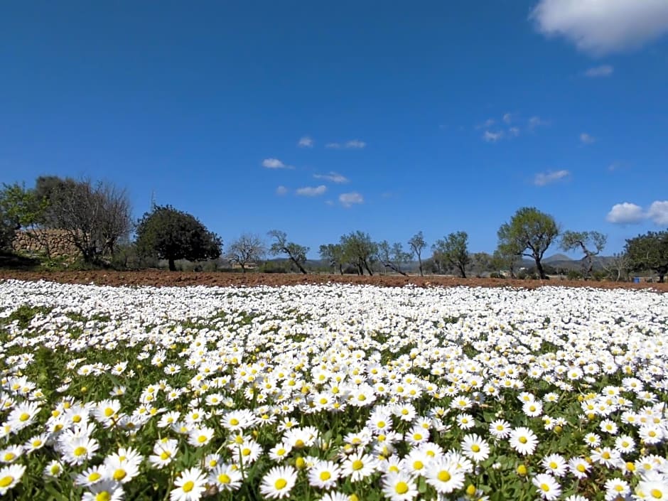 Agroturismo Na Set Centes - Adults Only