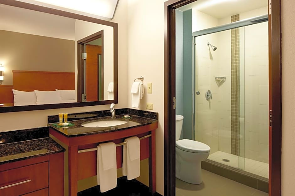 Hyatt Select Richmond Airport