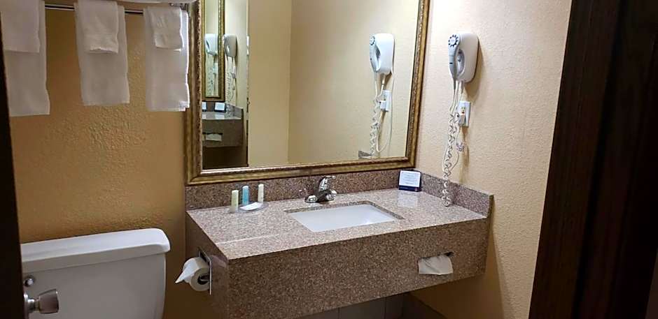 AmericInn by Wyndham Appleton Downtown