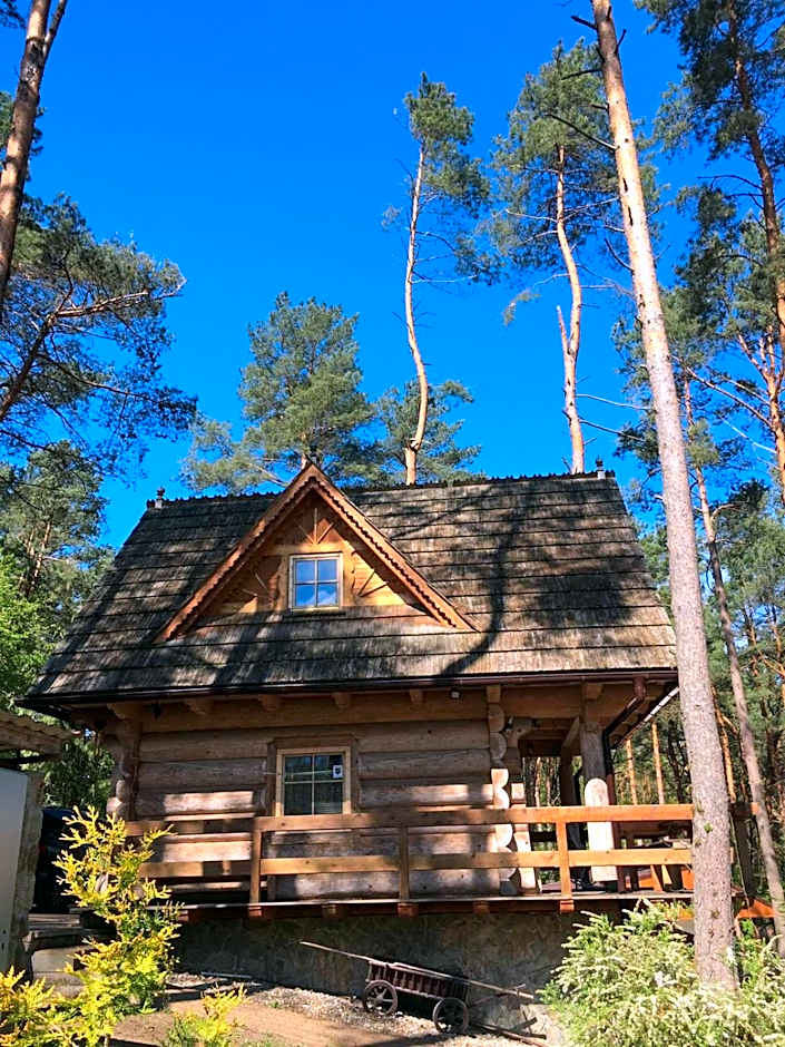 Domek z bali Tryszczyn nad Brdą