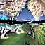 Domus Olivarum - Costa Smeralda 6 guest, 3 room, 2 bathroom, 2 parking Wifi