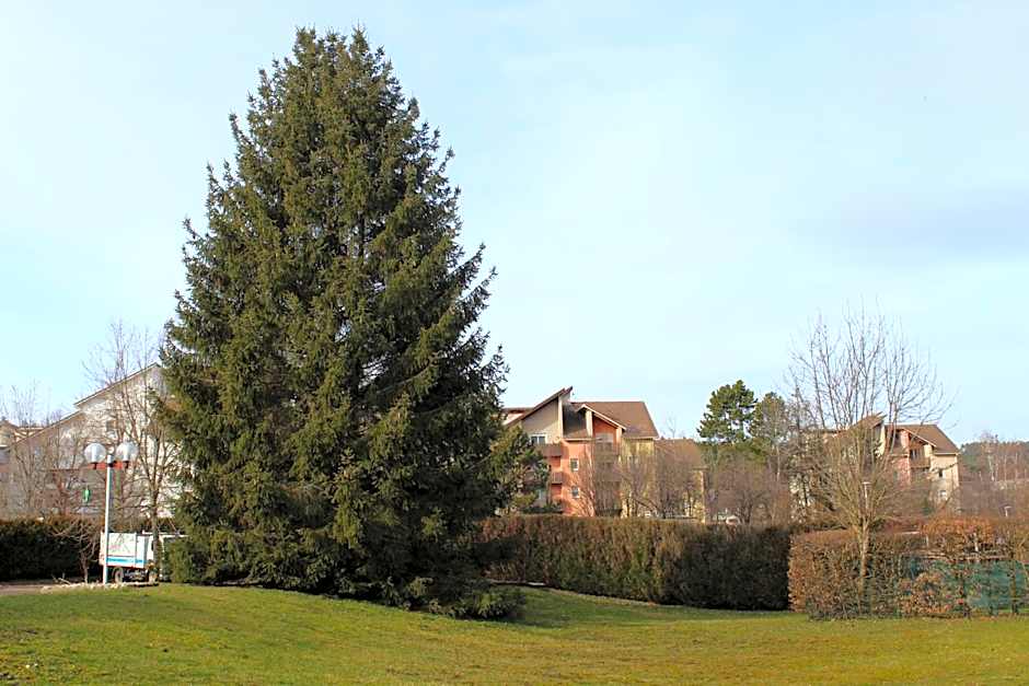 Hotel Melodie