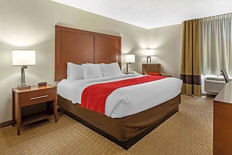 1 King Bed, Nonsmoking, Accessible