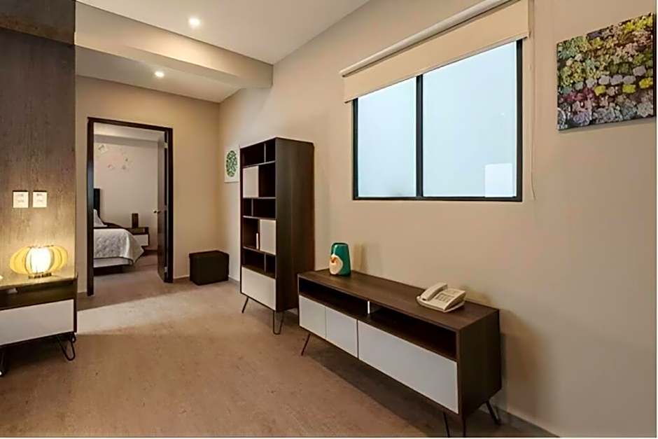 403 Walk to Zocalo 1Bdrm 1bath AC apt Rooftop