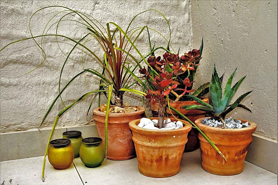 Graceland Eco Retreat