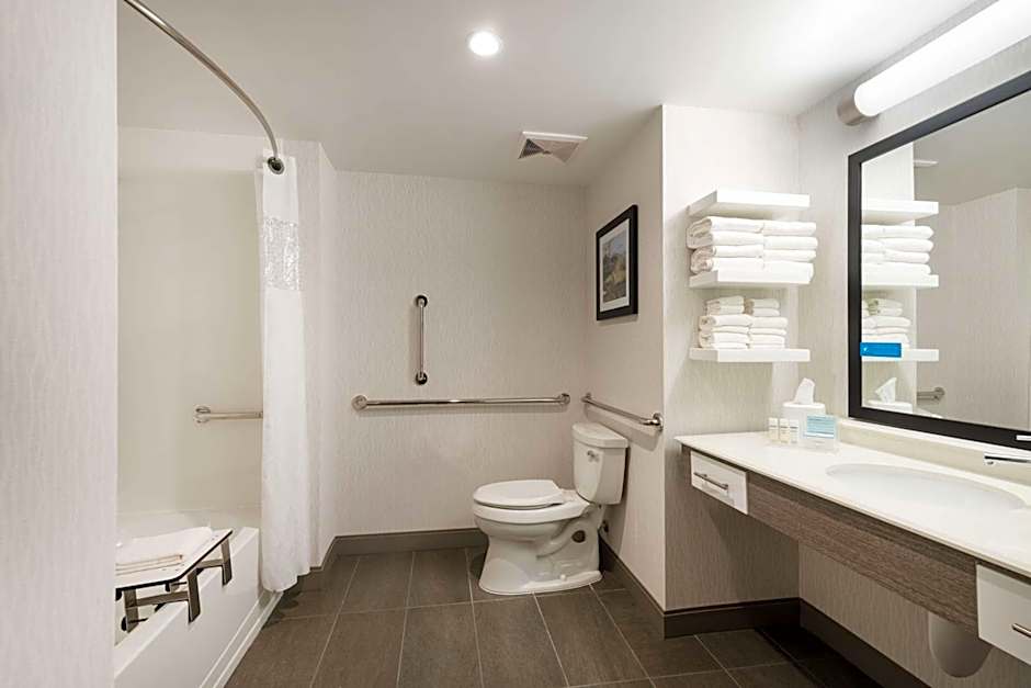 Hampton Inn By Hilton & Suites Miami Midtown, FL