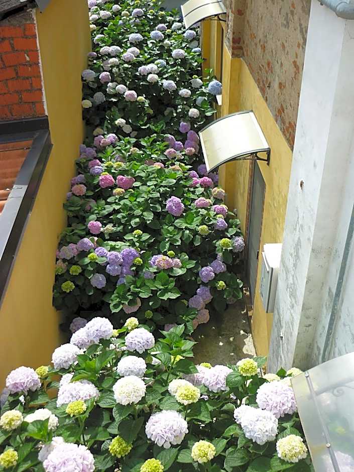 L'Adele Bed & Breakfast