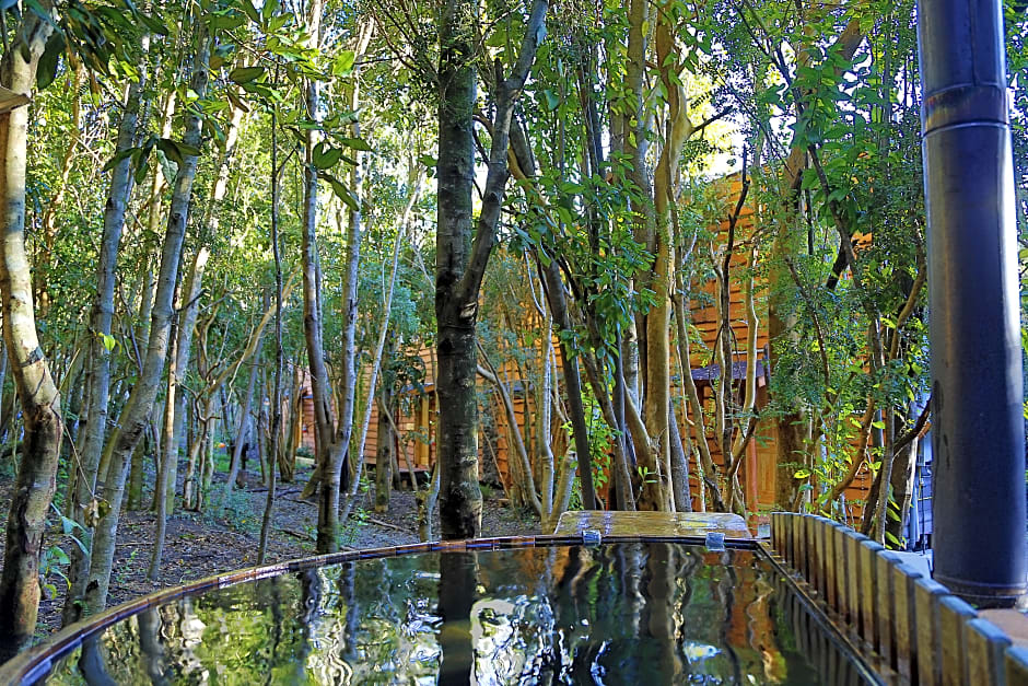 Cabañas Ensenada Bosque Nativo