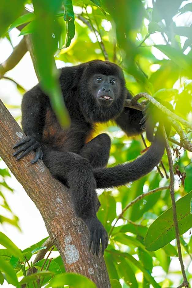 Nammbu Beach Front Bungalows