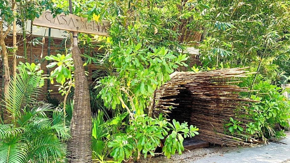 Orchid House Jungle Tulum