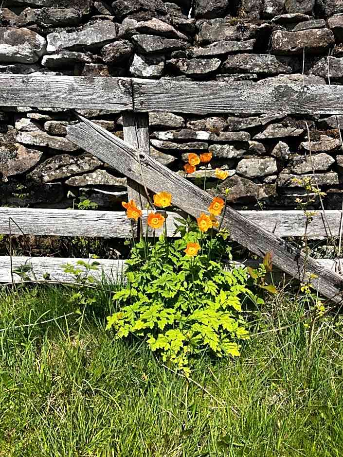Stoneymollan over Loch Lomond
