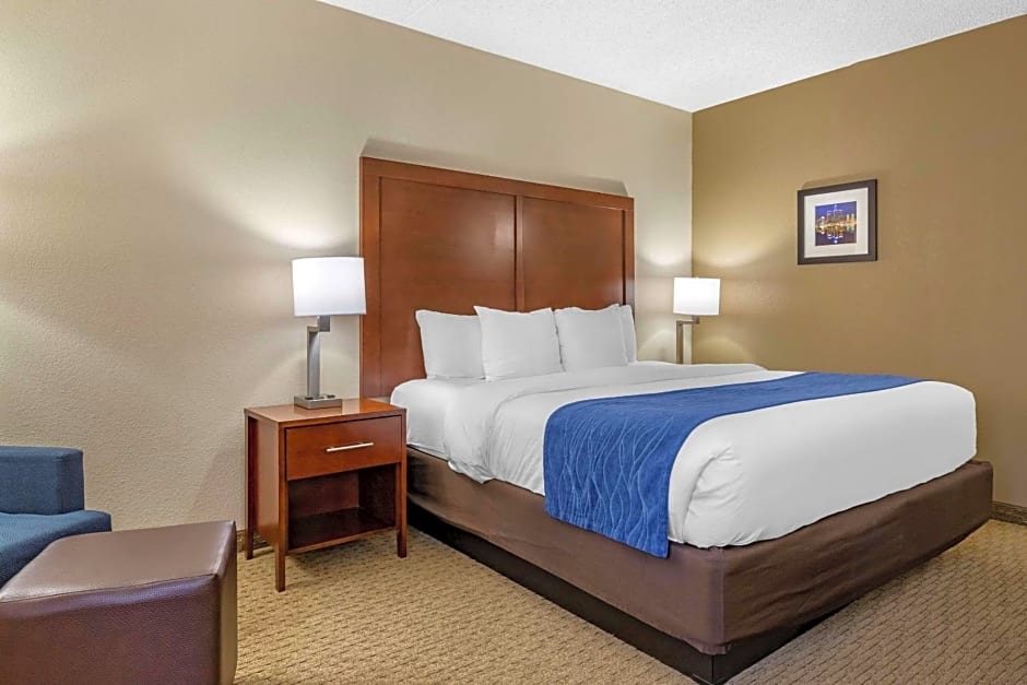 Comfort Inn Near Greenfield Village