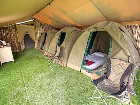 Standard Tent