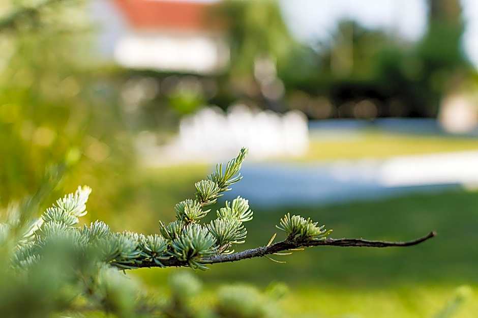 Casa Da Padeira - Turismo Rural