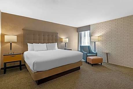 Superior King Room with Sofa Bed