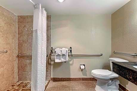 King Room - Disability Access/Non-Smoking