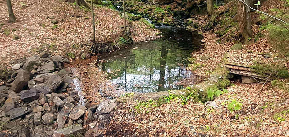 Domki Brenna Leśnica