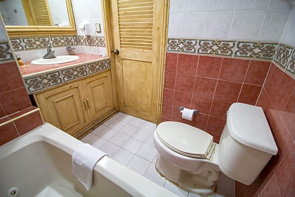Hotel Suites Flamboyanes