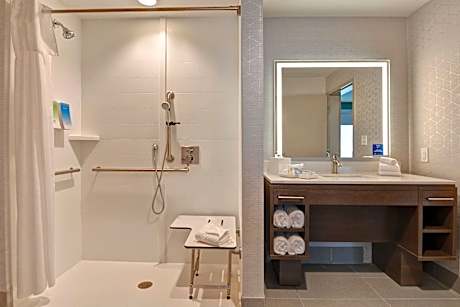 1King Accessible Roll In Shower Suite Nonsmok