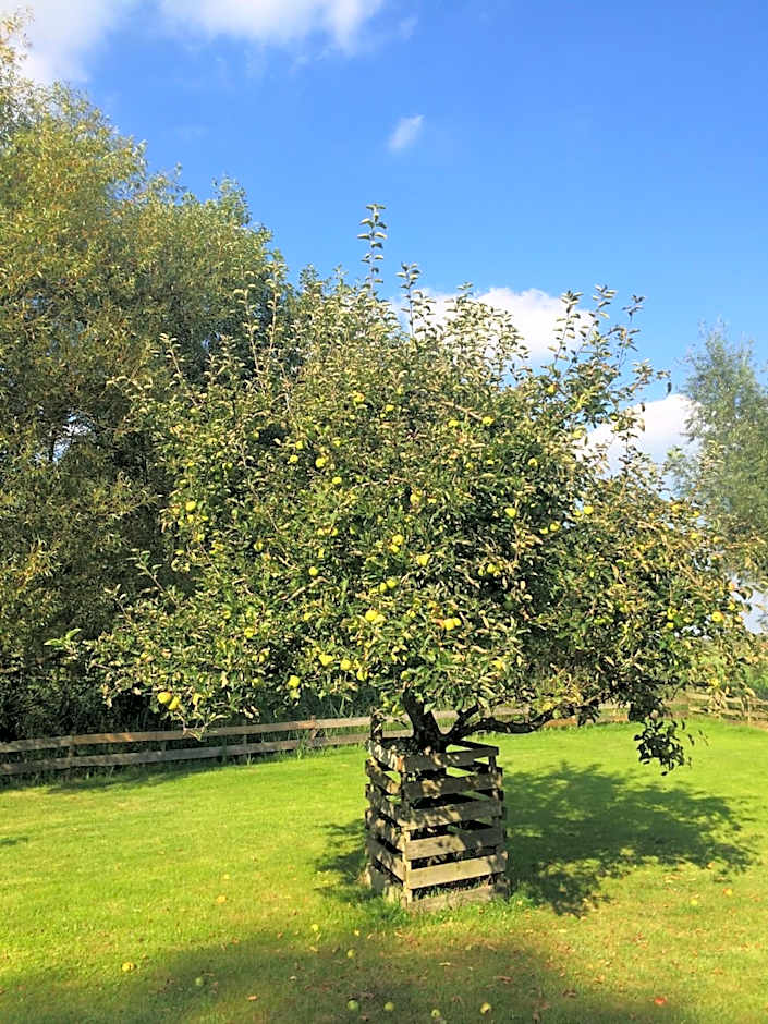 The Black Sheep Hostel