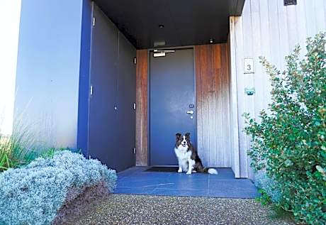 Pet Friendly Accessible Room