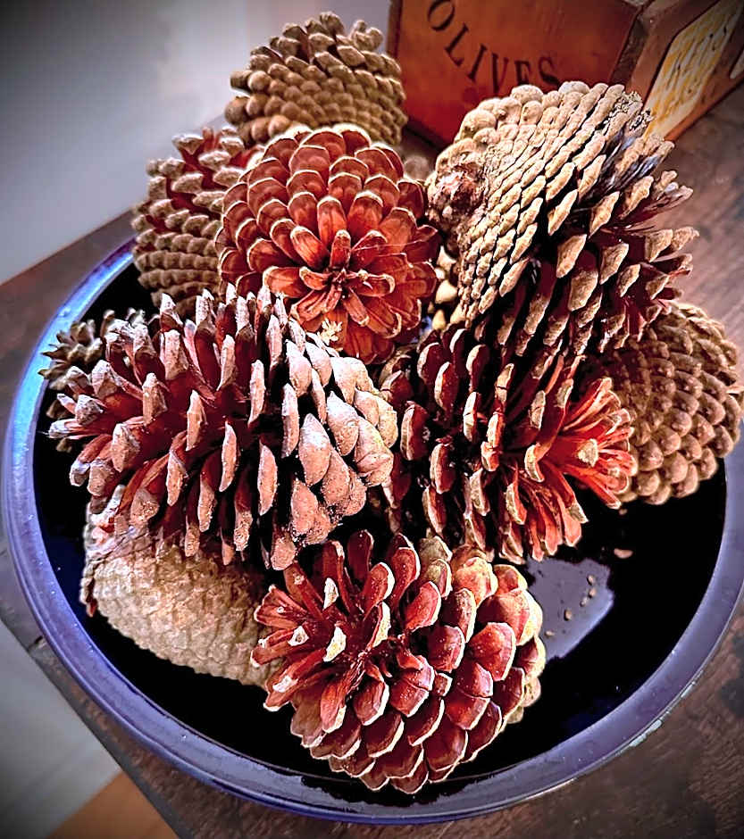 The White House at The Tinners Arms