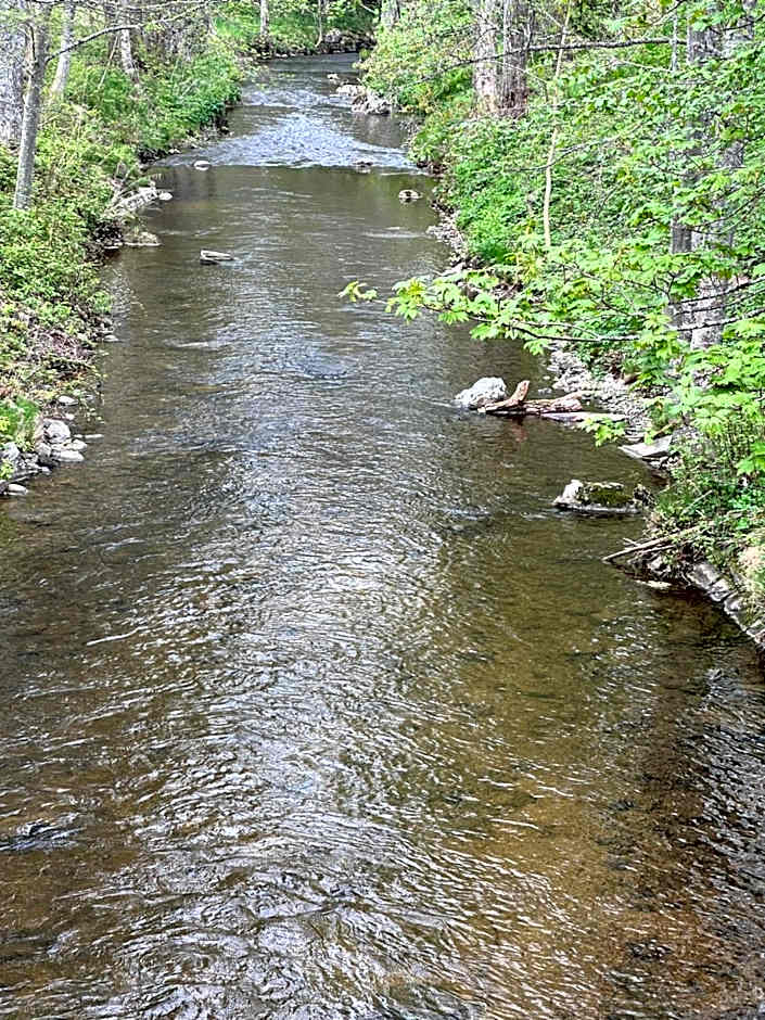 Hotel Hirsch Fluorn Schwarzwald