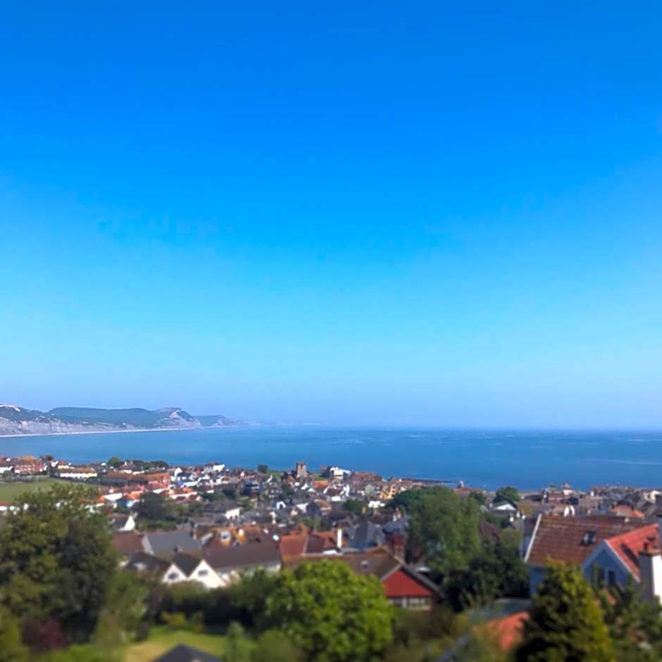 The Nags Head - Room only accommodation