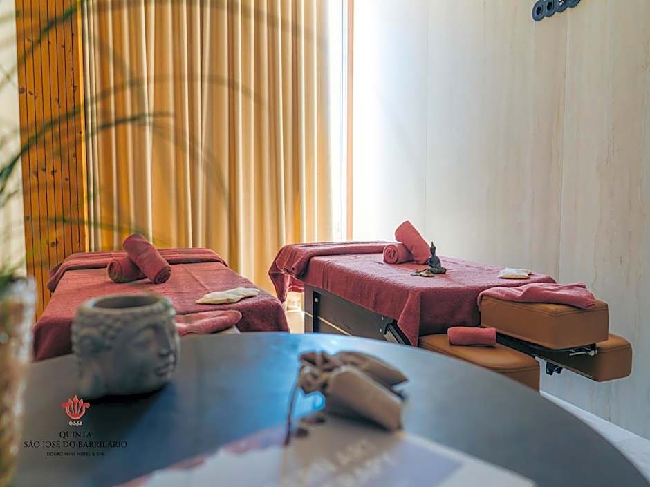 Barrilario Douro Wine Hotel e Spa - Quinta São Jose do Barrilario