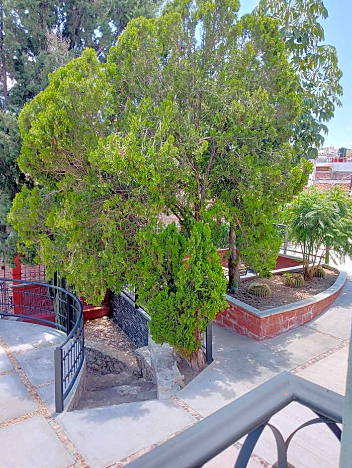 Quinta Mercedes