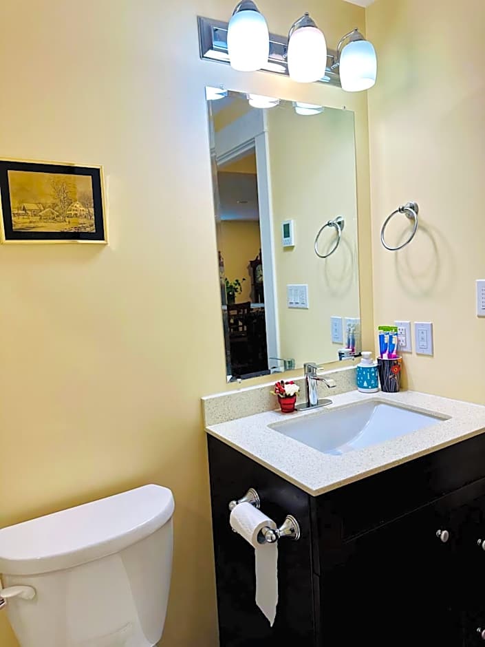 Luxurious Basement Retreat