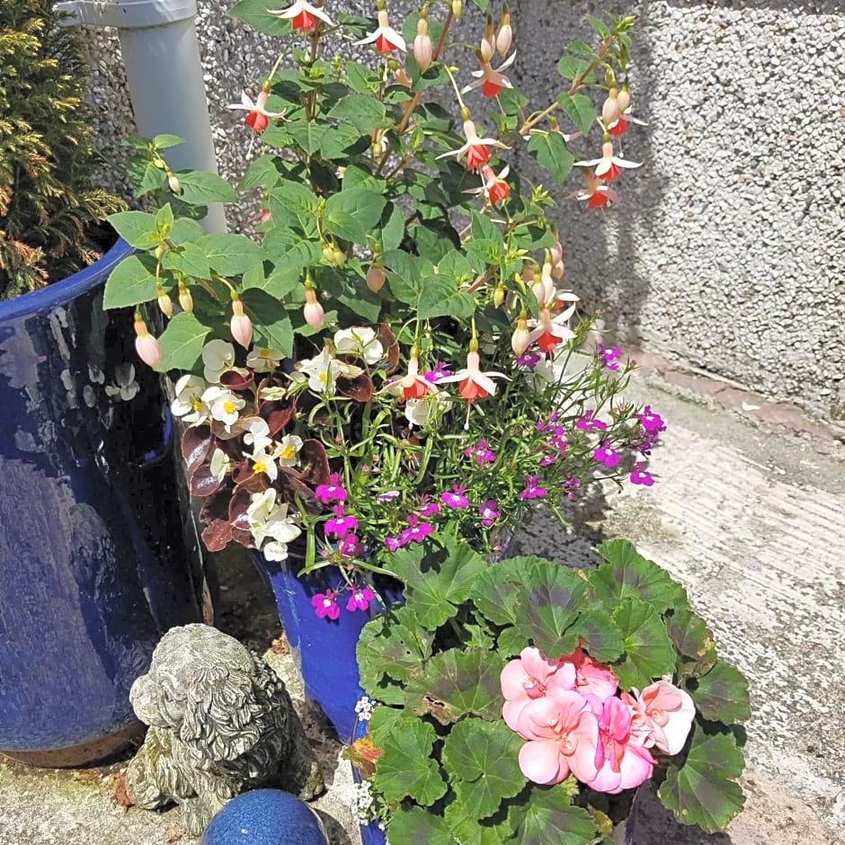 Eden's Rest Bed and Breakfast