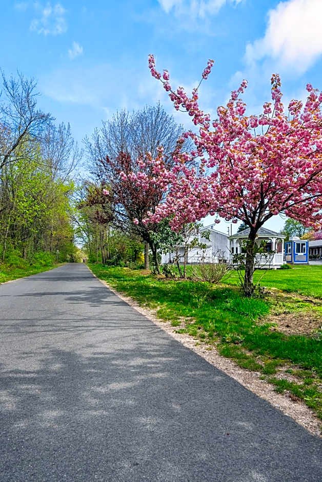 Ardsley Acres Hotel Court