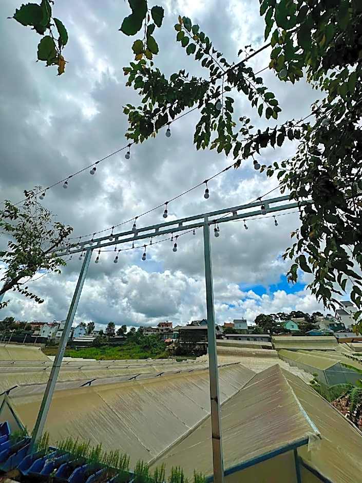 Cỏ Bốn Lá Homestay