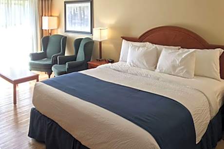 1 Double Bed, Nonsmoking, Accessible