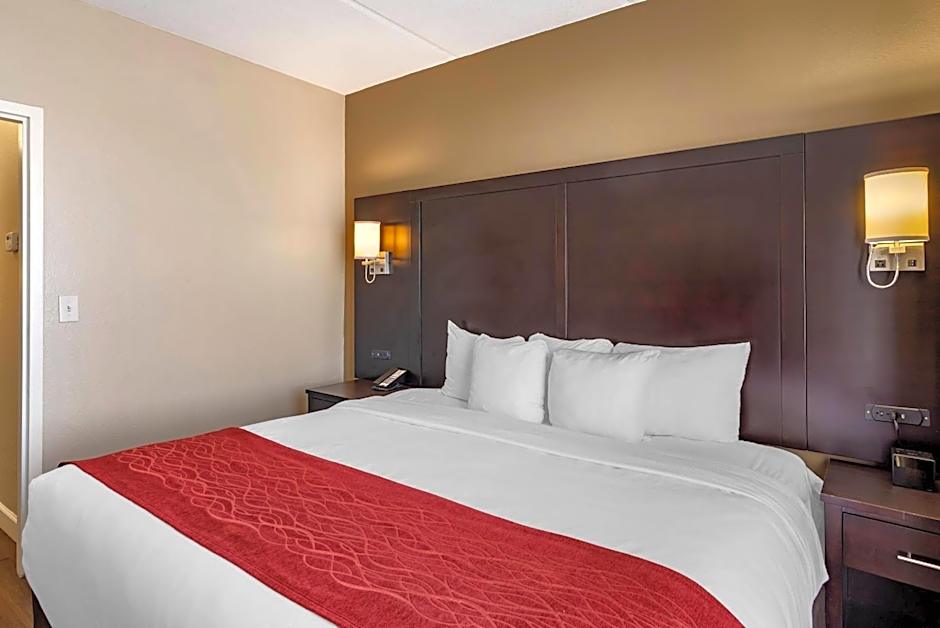 Comfort Inn & Suites Lithia Springs