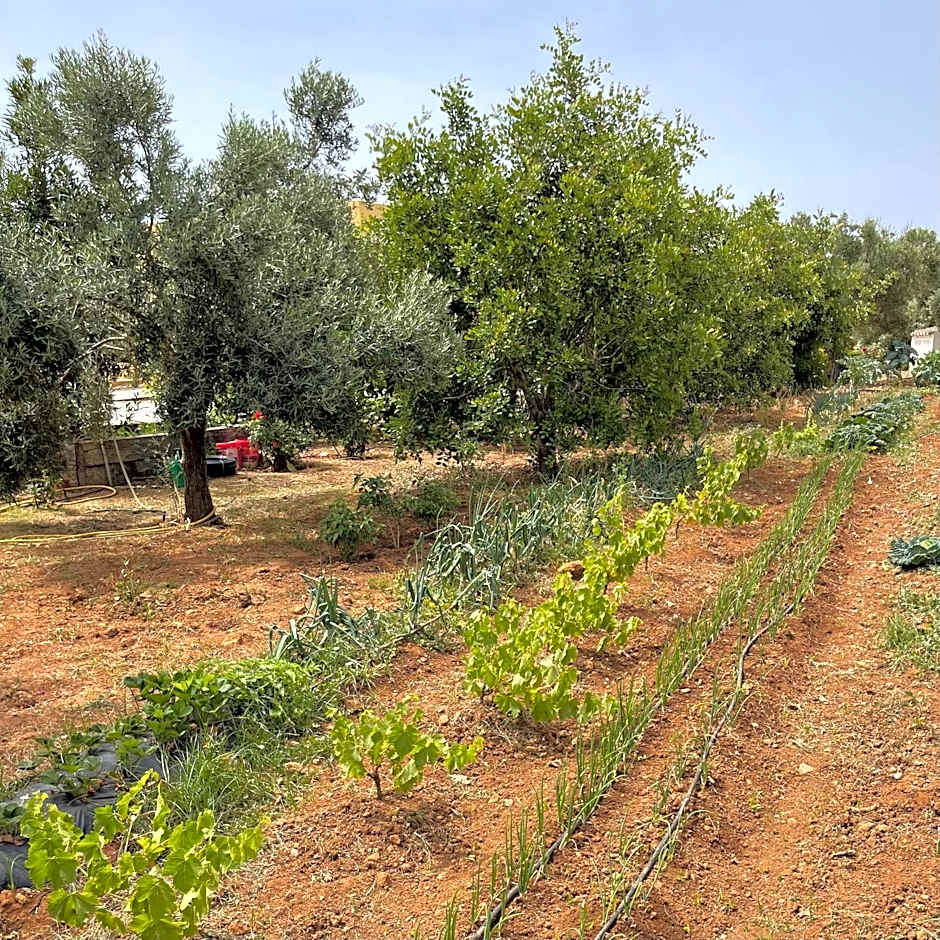 Hotel Rural Quinta do Marco - Nature & Dining