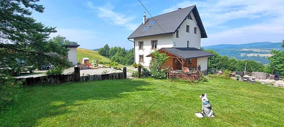 Swoboda na szczycie góry