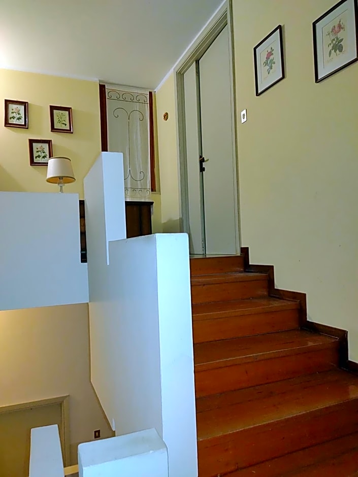 Villa Carol Appartamento e B&B