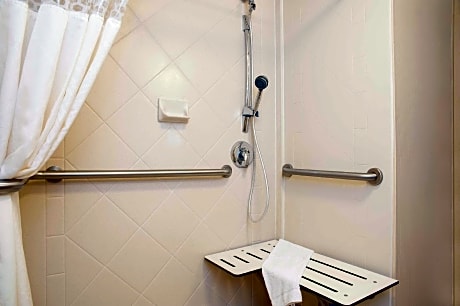 1 King Mobility/Hearing Acc Ri Shower Nosmok