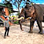 Van Long Elephants Lakeside View Hotel