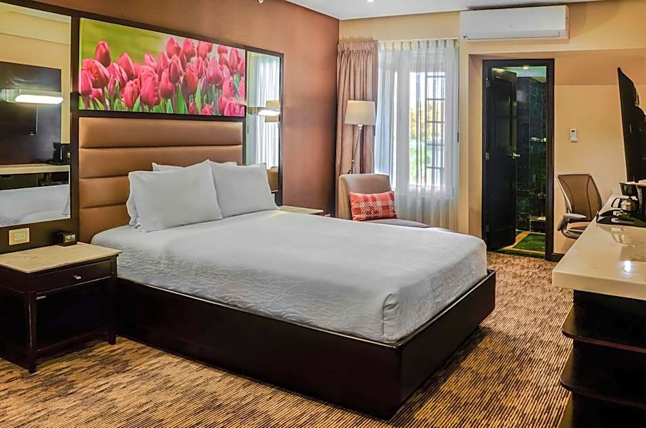 Hilton Garden Inn Guatemala City