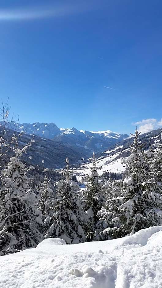 alpenrose hotel-garni