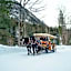aja Ruhpolding