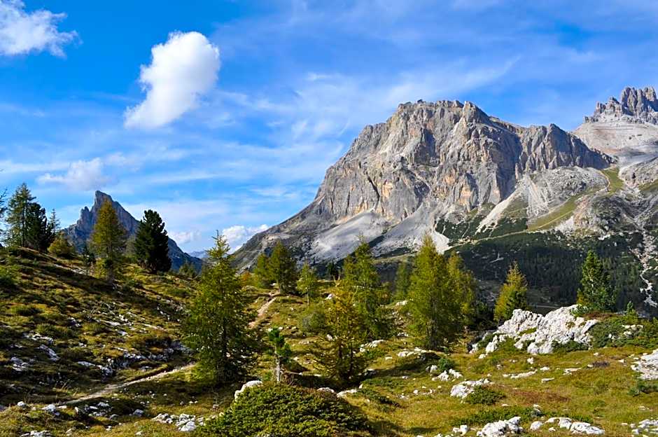 Piccolo Hotel Claudia No Pets