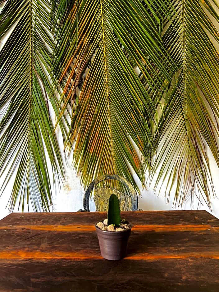 Hotel Jaiba Mahahual - Adults Only