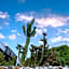 La Cima del Valle
