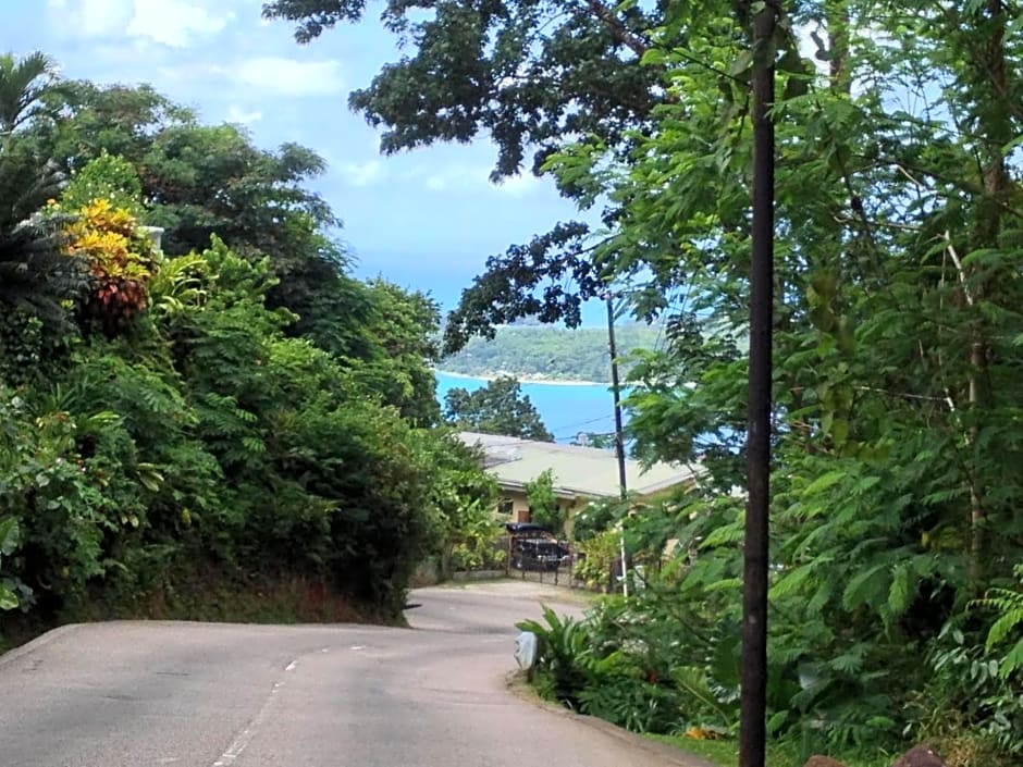 Papaya Guesthouse